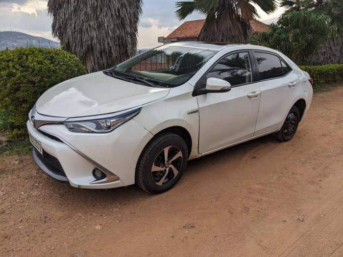Stranded in Kigali: How We Saved a Traveler from a Nightmare Car Rental Experience
